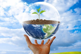 Satış öncesi ve sonrası hizmetlerimiz